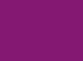 Solid purple rectangle